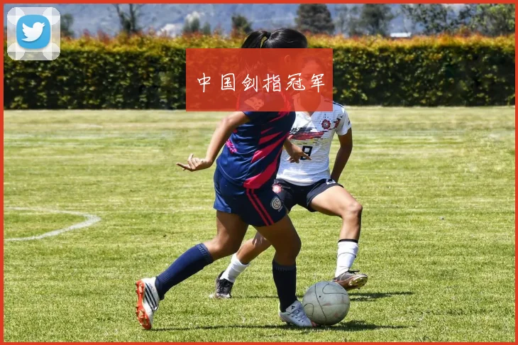 中国剑指冠军