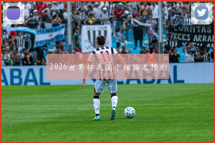 2026世界杯美国小组排名预测