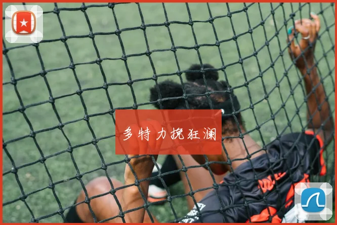 多特力挽狂澜