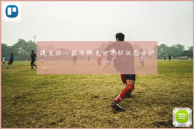 捷克核心赫洛热克世界杯状态分析