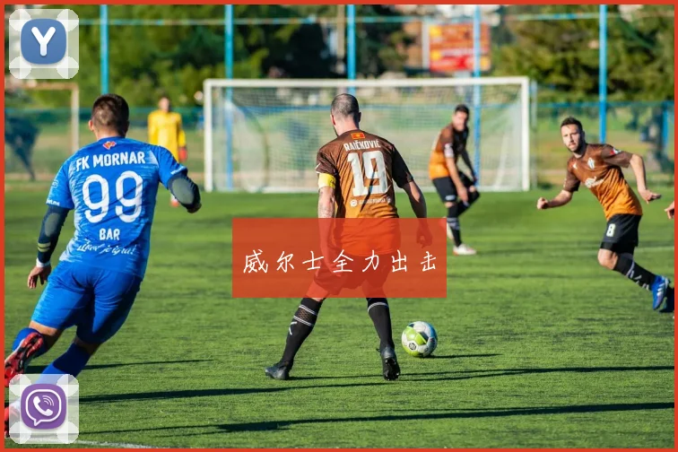 威尔士全力出击