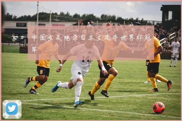 中国女足绝杀日本女足夺世界杯冠军